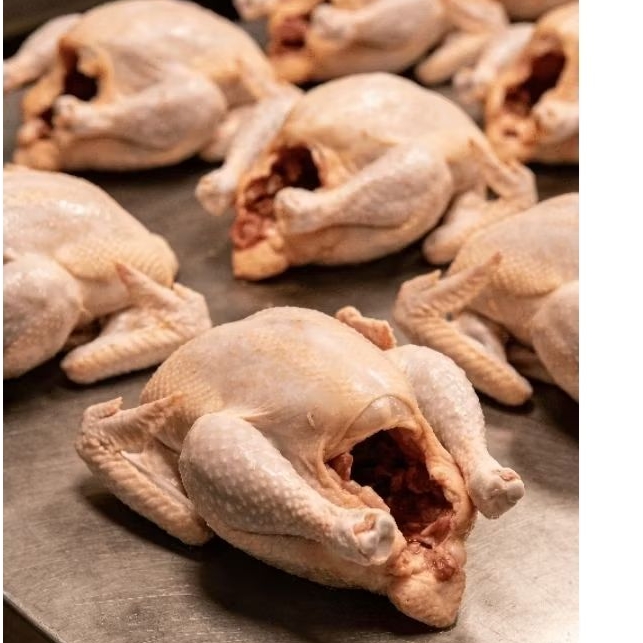 ayam potong segar Makassar 1 ekor berat 2,1kg (di timbang saat masih hidup)