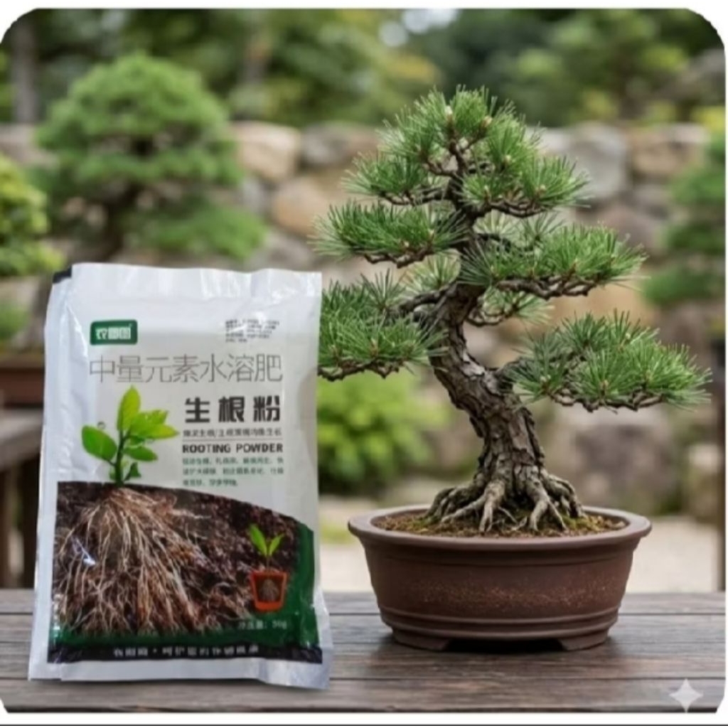 Pupuk Rooting Powder import 50g efektif untuk Tanaman Hias Bonsai