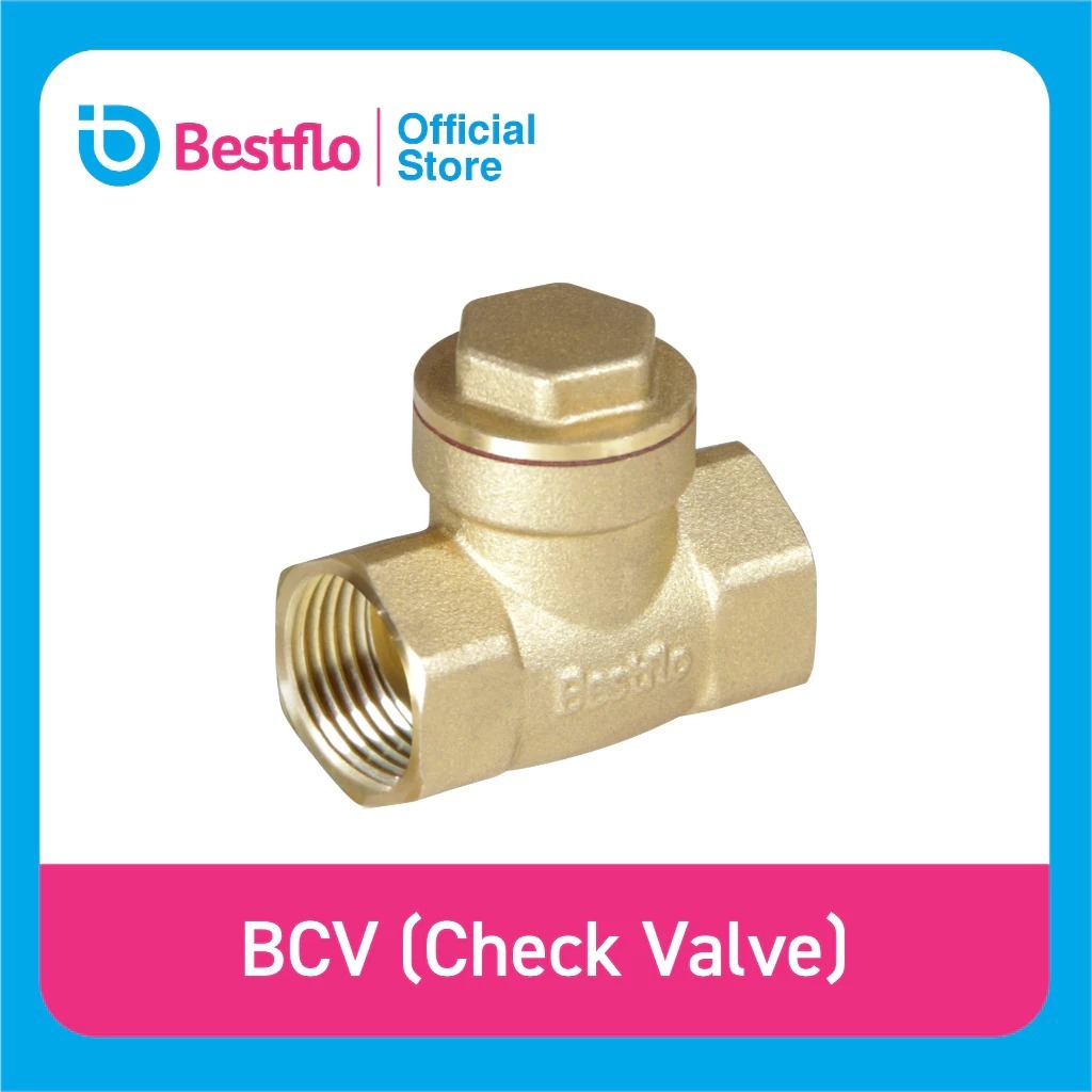 BESTFLO CHECK VALVE - BCV 3/4"