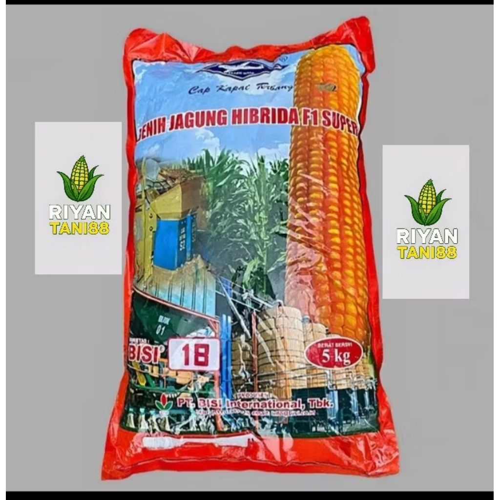 BENIH JAGUNG BISI-18 KEMASAN 5KG