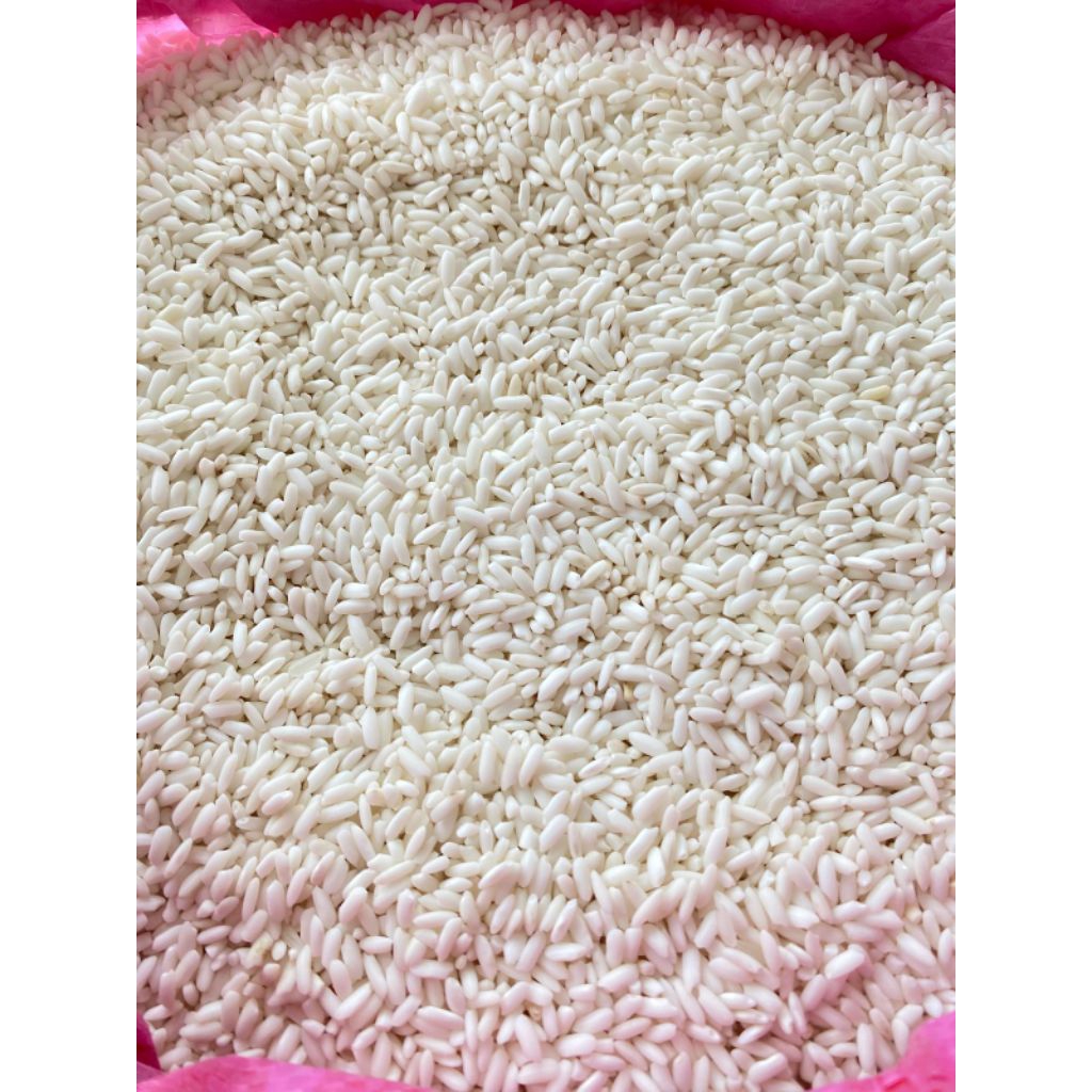 Beras Ketan Putih Premium | Ketan Putih Premium | Ketan Putih Super - 1Kg