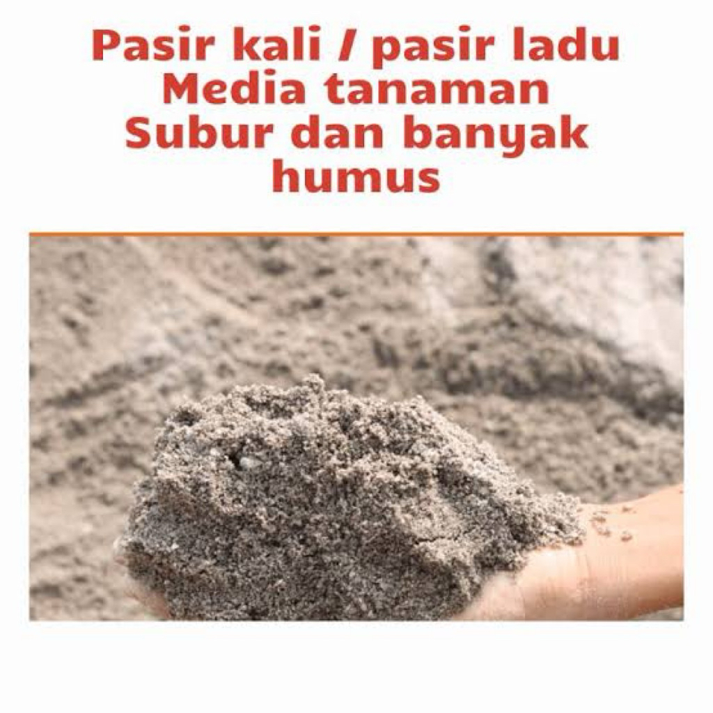 pasir kali media tanam / media tanam subur