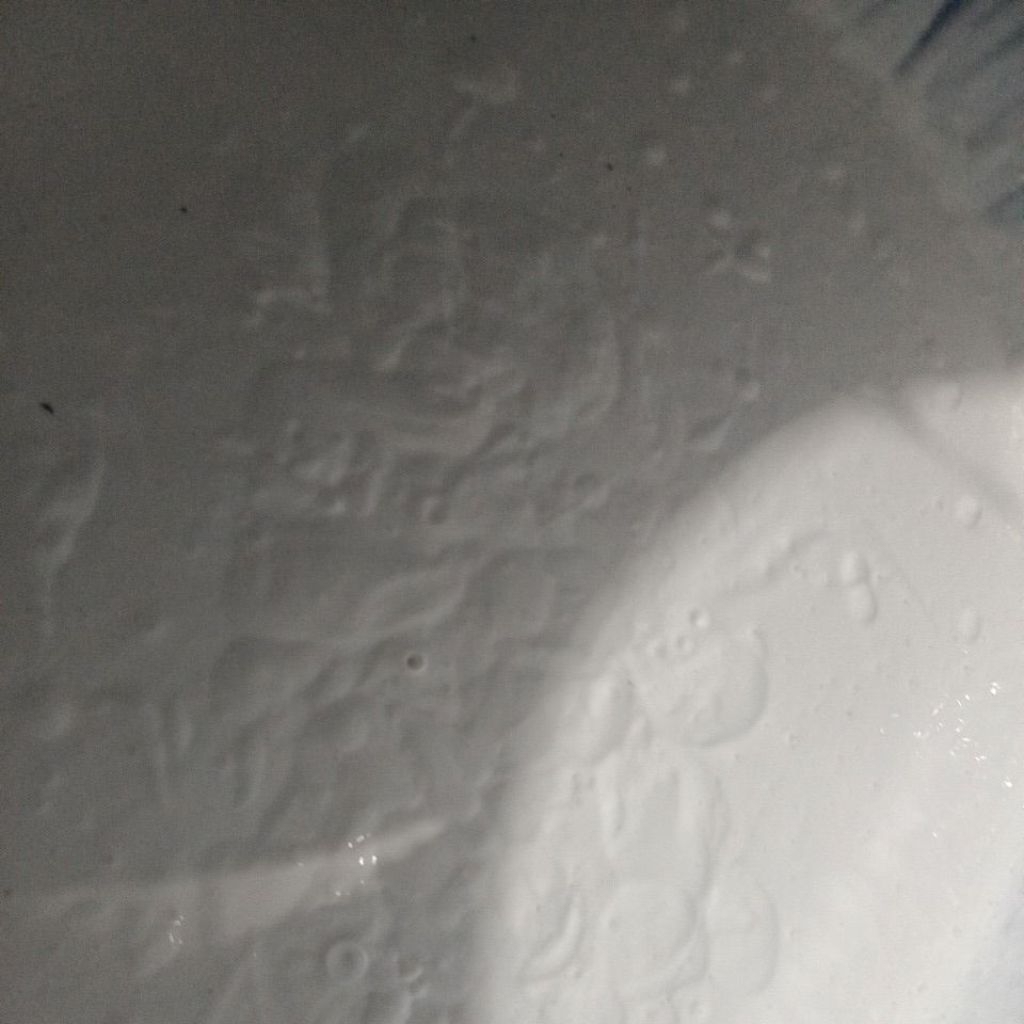 LEM PUTIH LEM PVAC LEM SERBAGUNA LEM KAYU PLAMIR ORIGINAL FOX 1 KG