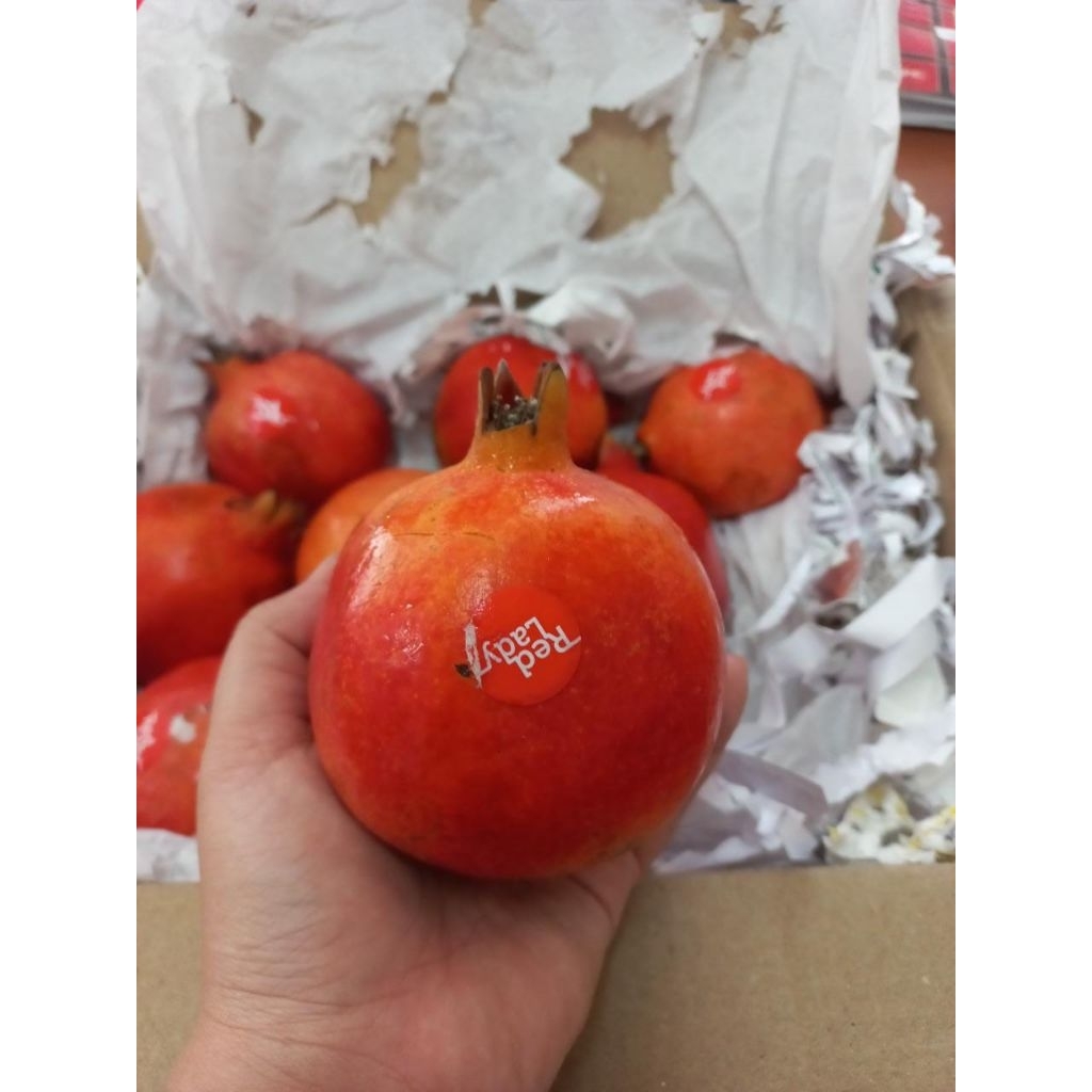 Buah Delima Merah 1 Dus/Krat India Mesir Rrc