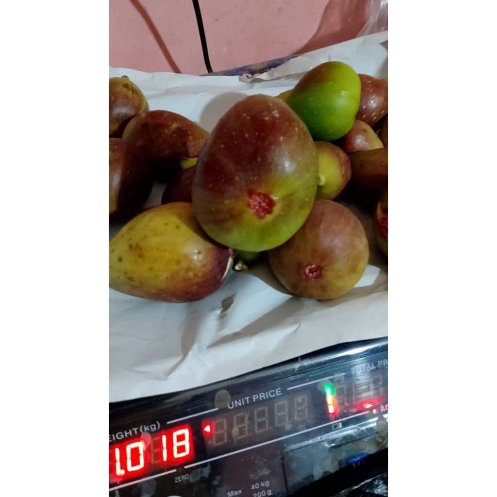 Buah TIN 1 kg ready langsung d order