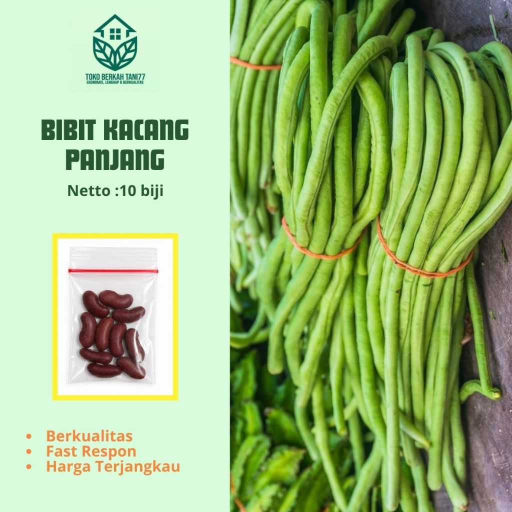 Benih Kacang Panjang Bibit Kacang Panjang Unggul (10 Biji) - Tanaman Sayur