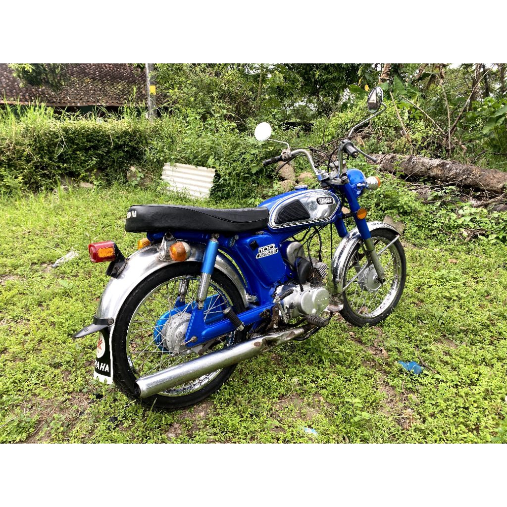 Yamaha L2S L2G