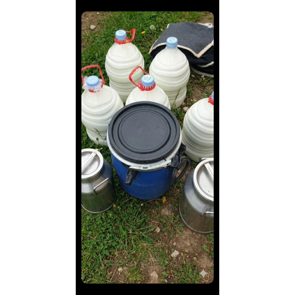 susu sapi murni mentah 1 liter