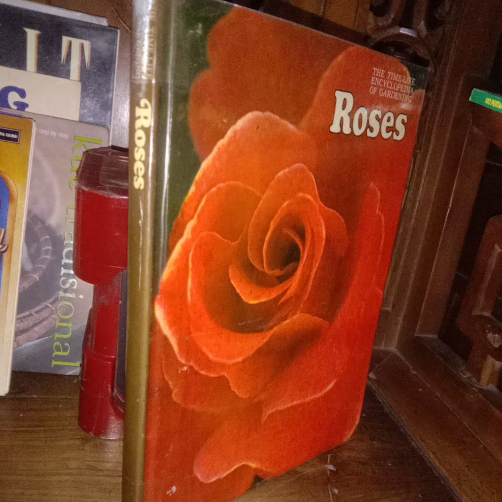 ROSES _ THE TIME LIFE