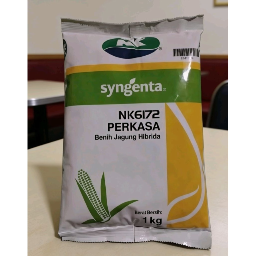 NK perkasa 6172 benih jagung hibrida - syngenta