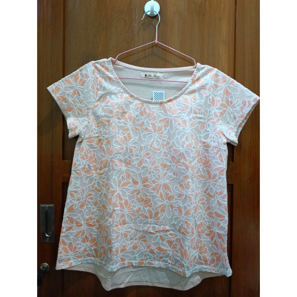 PL atasan blouse kaos warna salem