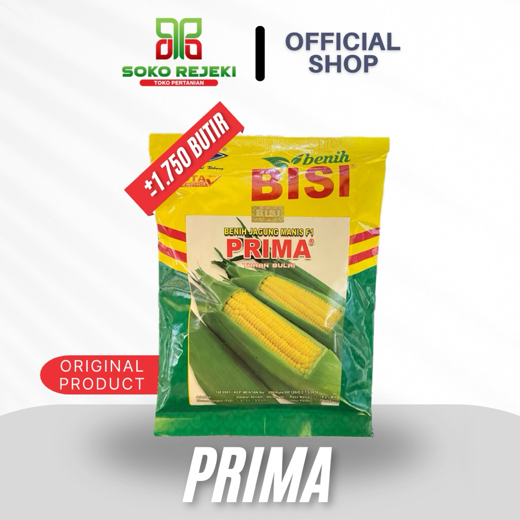Benih Jagung Manis Prima BISI Original 250 gram