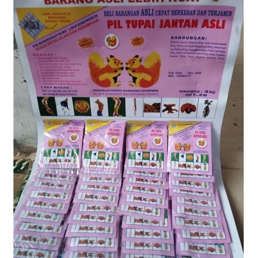 Pil Tupai Jantan Asli - Herbal Kuat Badan, Pereda Nyeri, dan Penambah Stamina