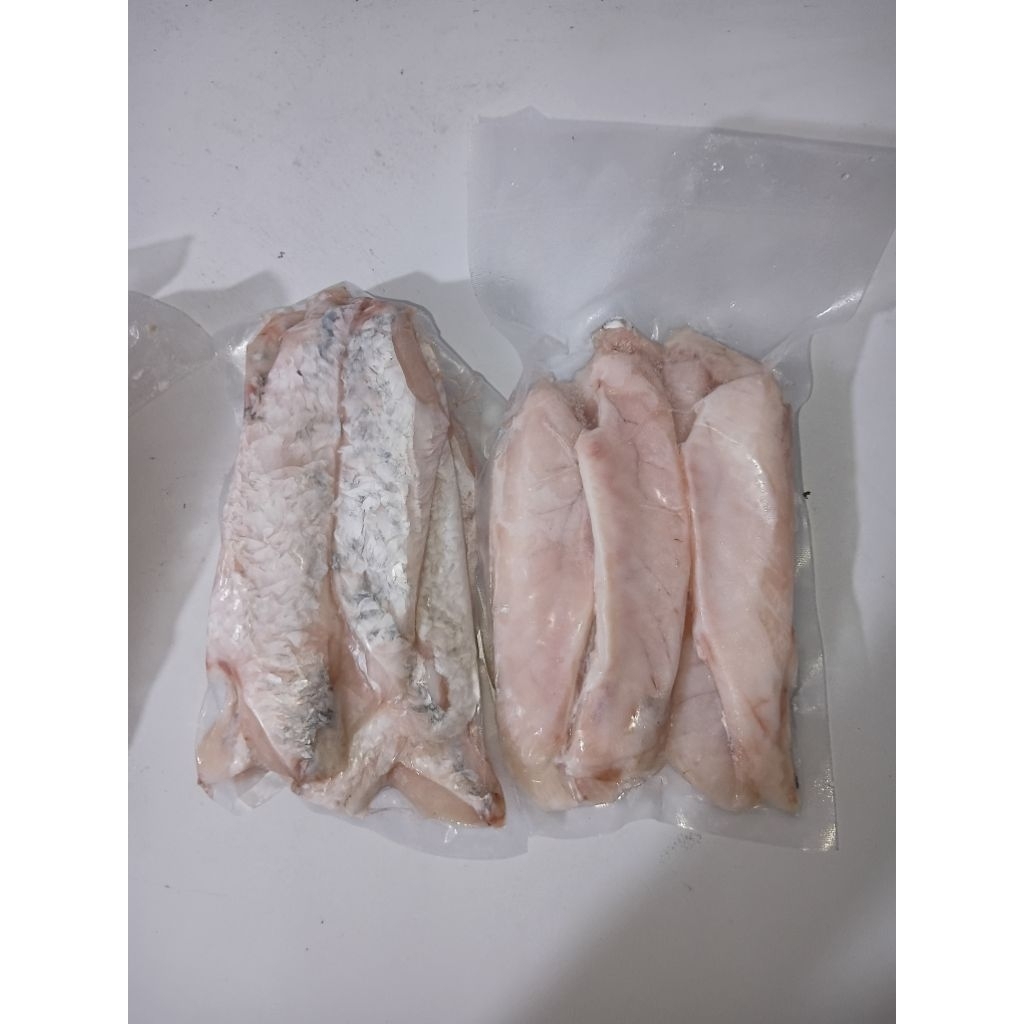 Barramundi Belly Fresh Premium kemasan 500 dan 1kg | Perut Ikan Kakap Putih Segar | Lemak Tinggi Gur