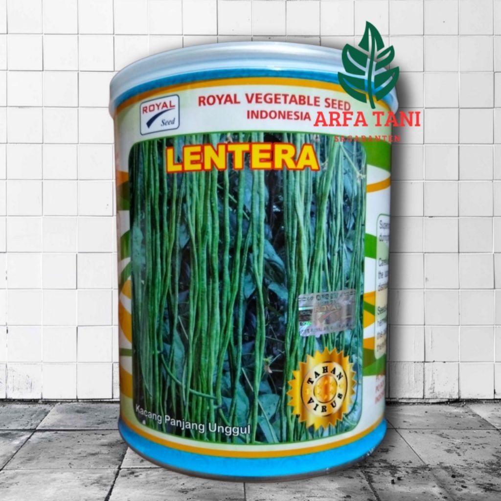 Benih Kacang Panjang Lentera 500 Gram