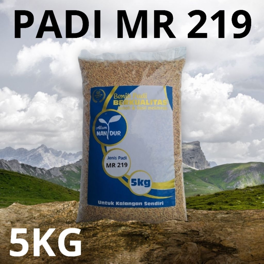 BIBIT | BENIH PADI MR 219 KEMASAN 5KG
