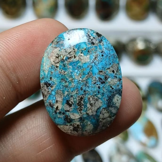 pirus biru ceplok