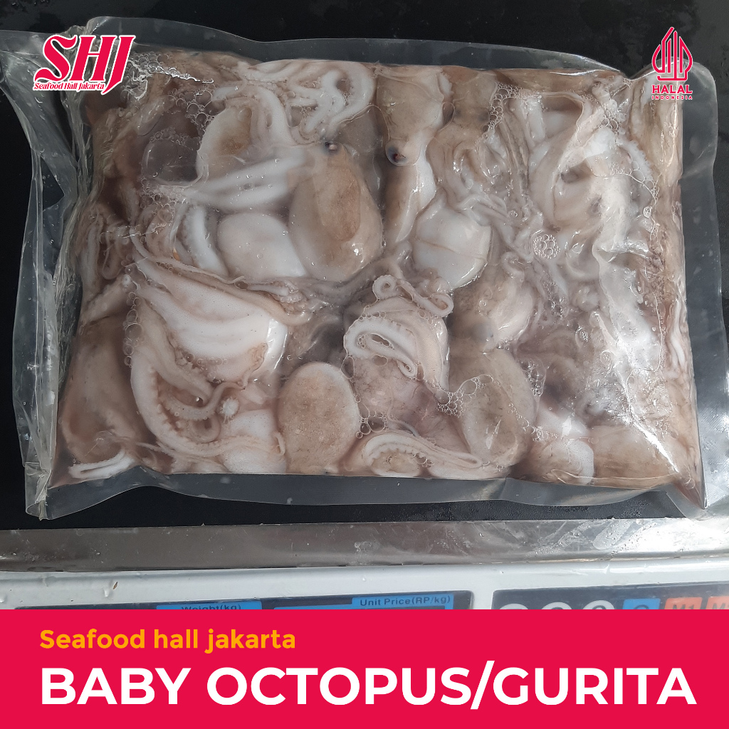 Baby Octopus Gurita Frozen 1kg / Bayi Gurita / Octopus