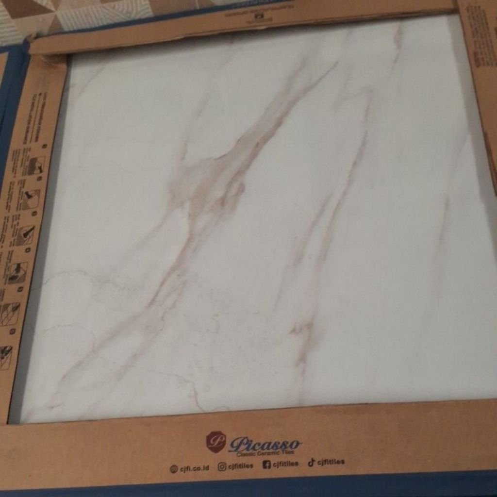 Keramik Lantai 50x50 ZICRON PICASSO Glossy