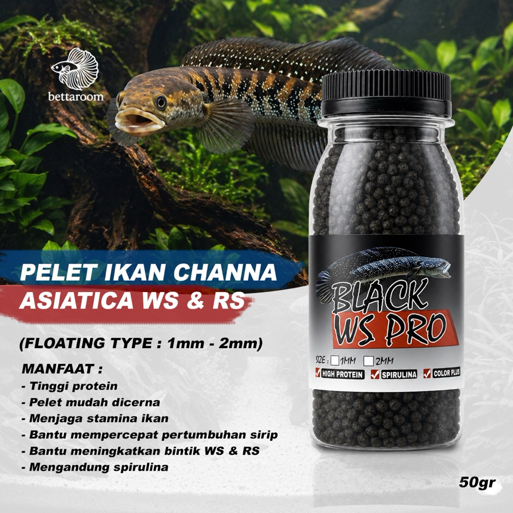 Pelet black ws pro pakan ikan channa asiatika makanan channa asiatica ws dan rs