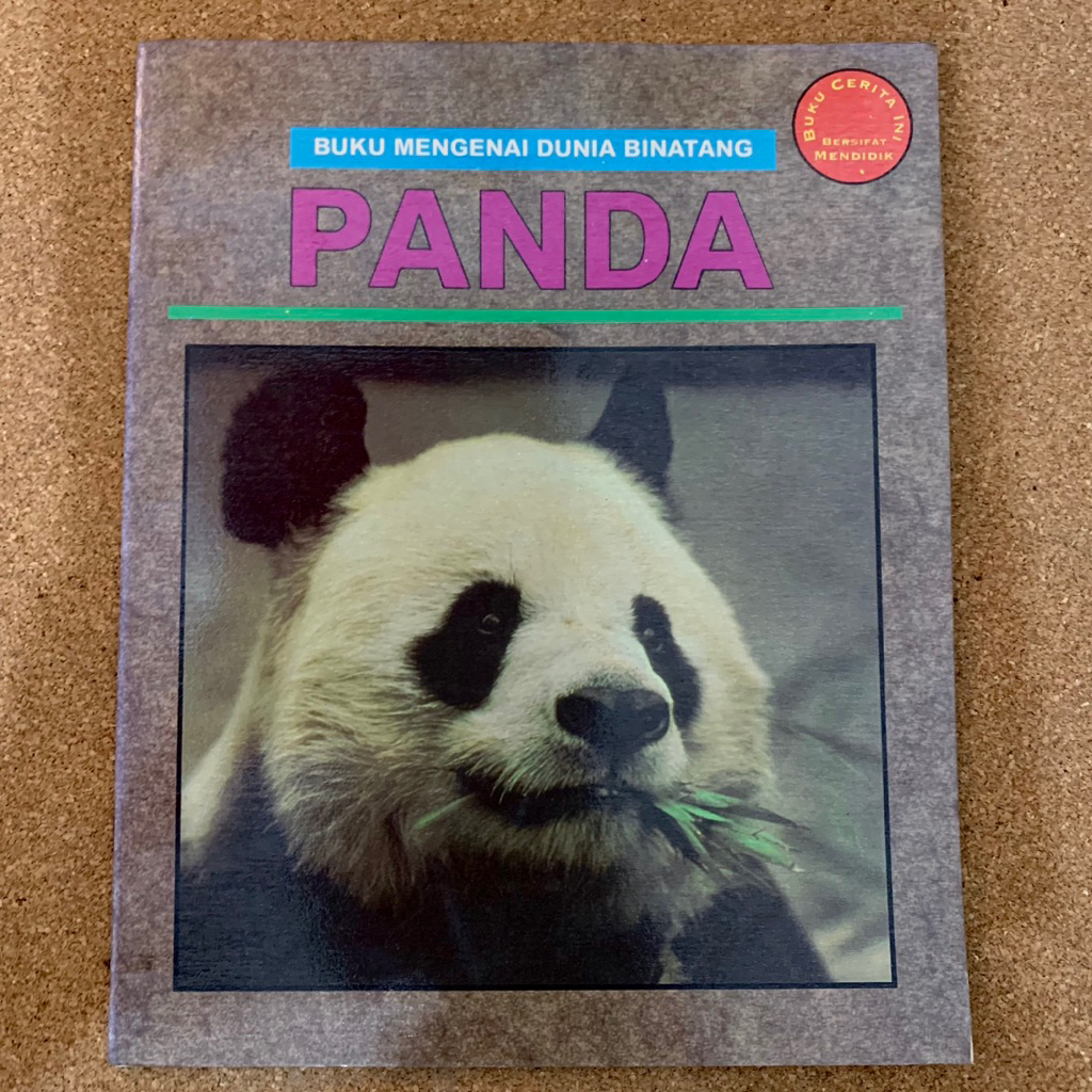 Panda | Dunia binatang
