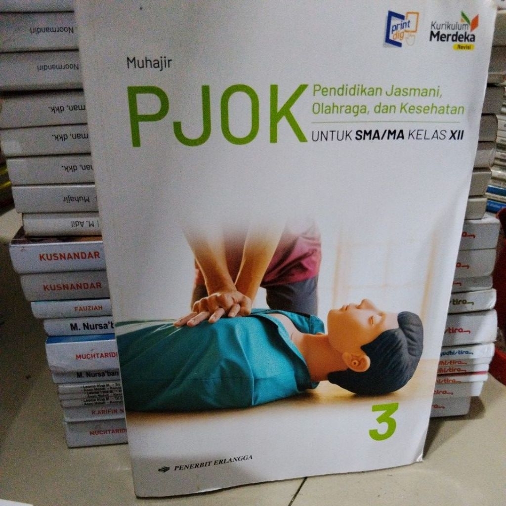 buku bekas erlangga pjok kelas 12