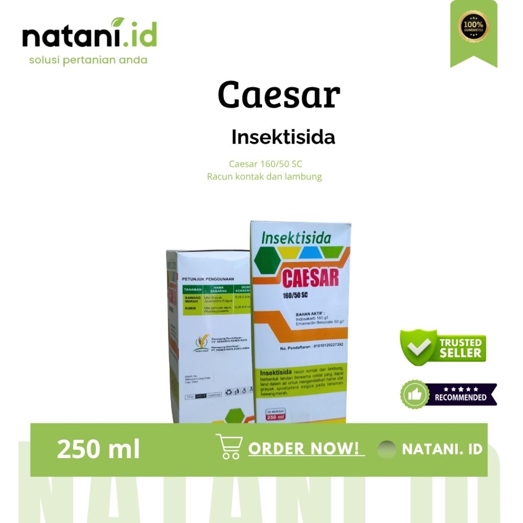 Insektisida Caesar 160 g/L - mengendalikan ulat grayak