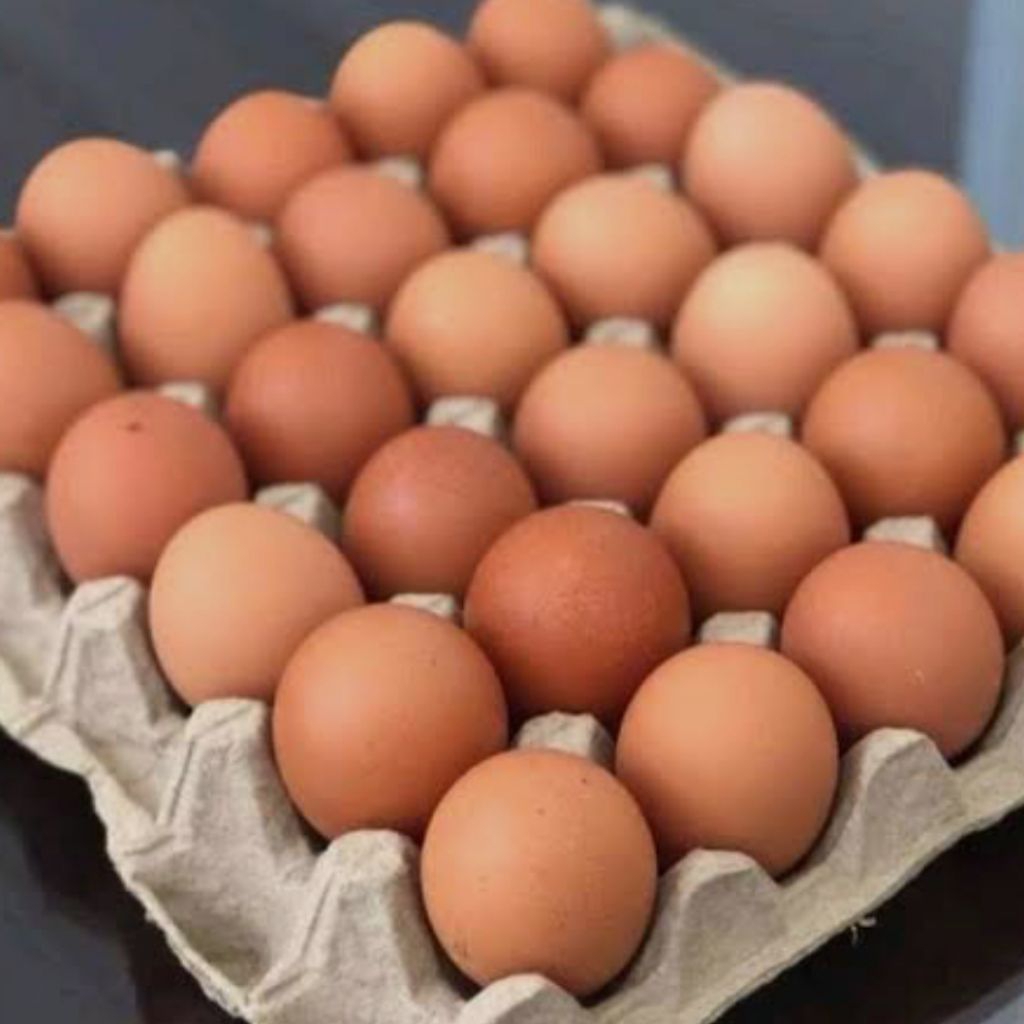Telur ayam 1 kg
