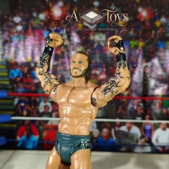 Action Figure WWE Randy Orton – Basic Series 55 Mattel