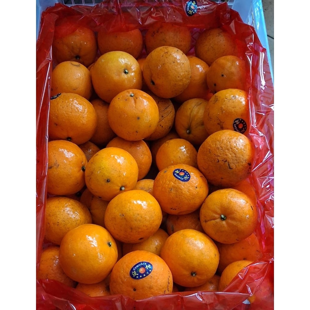 Indukbuah Buah Jeruk Mandarin Wogan Manis 1 Keranjang ±7kg