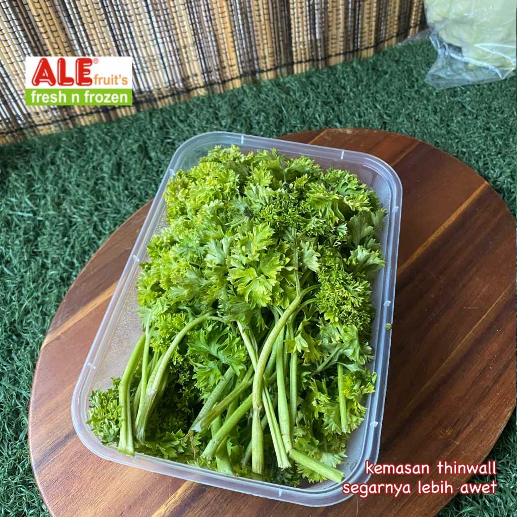 Daun parsley fresh, daun parsley, daun parsley segar
