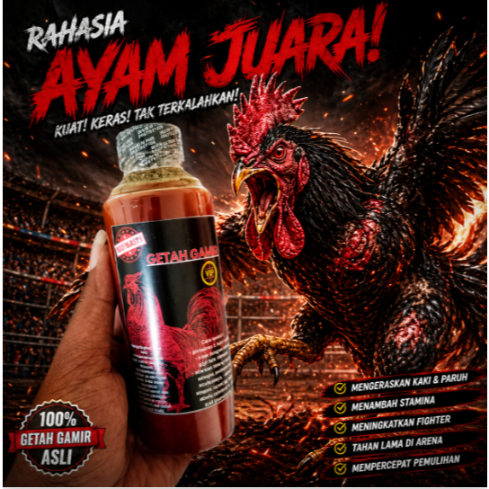 Getah Gambir Ayam Aduan Asli – Kuatkan Paruh & Kaki Ayam Bangkok Super Keras 250ml