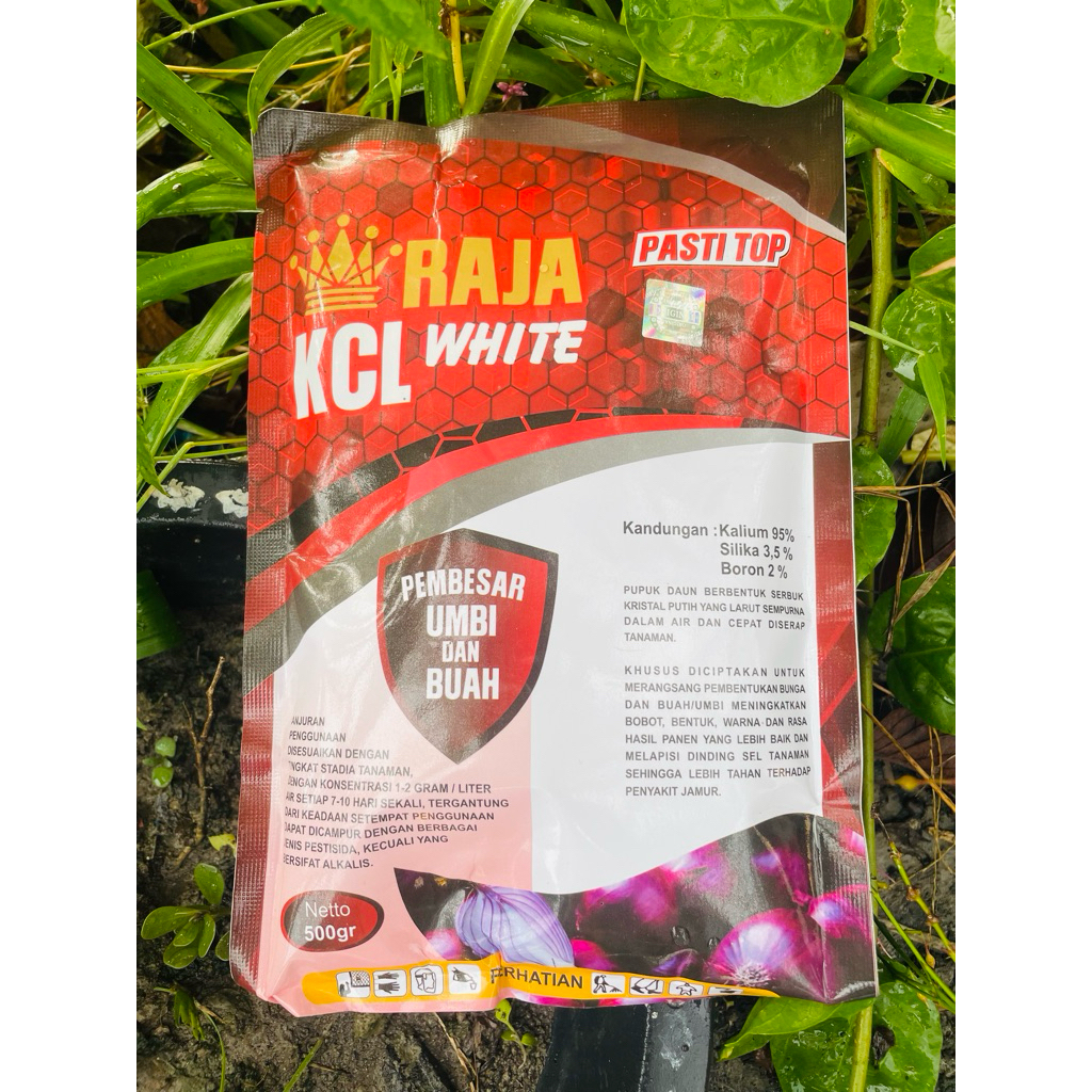 Pupuk Nutrisi KCL WHITE 500GR