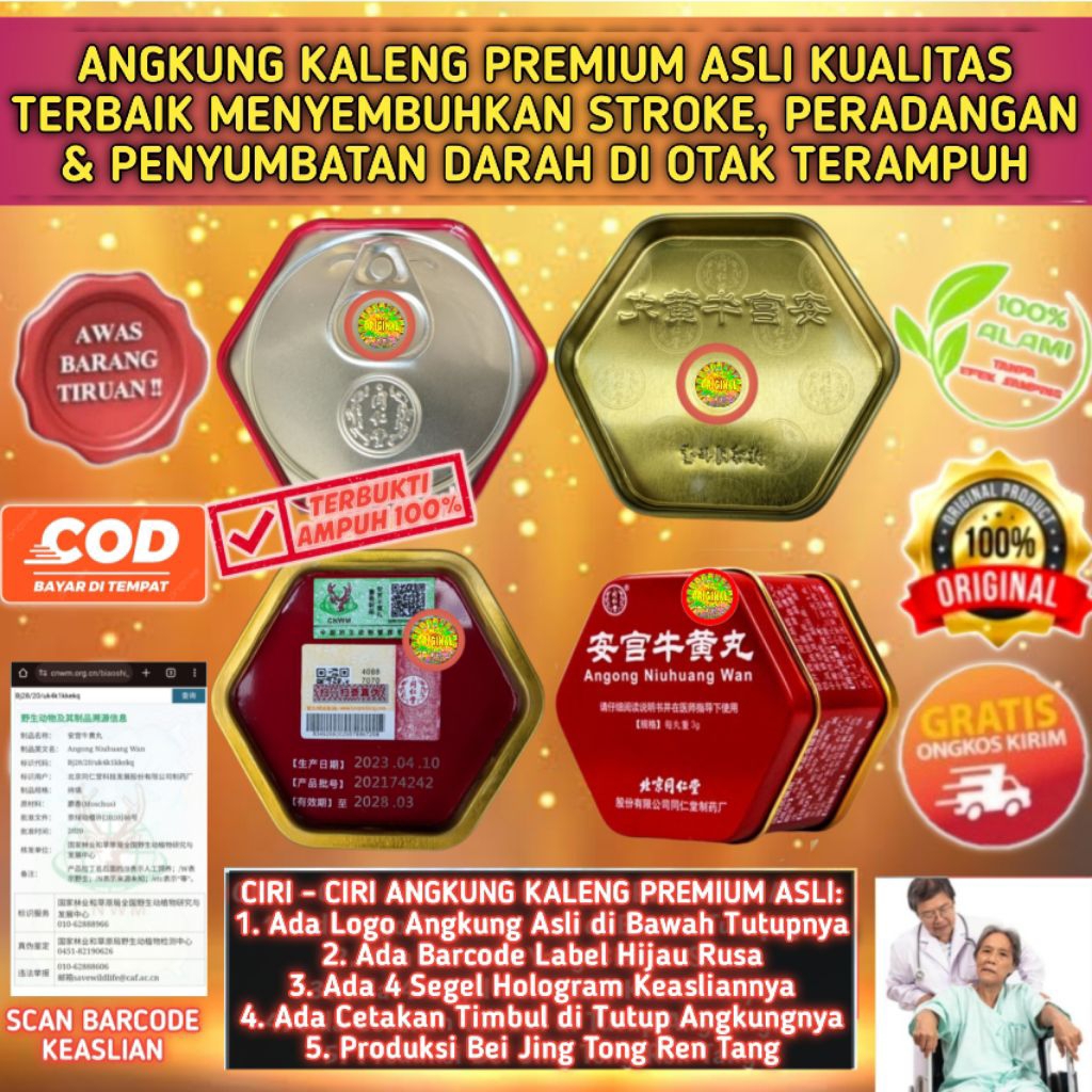 BEST QUALITY - ANGKUNG KALENG PREMIUM ASLI OBAT STROKE BERAT , PARKINSON , EPILEPSI & PERADANGAN OTA