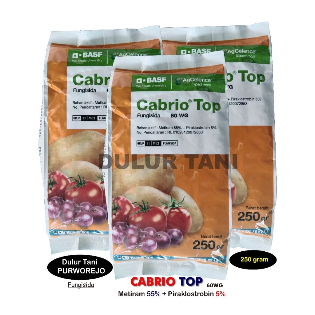 Fungisida CABRIO TOP 250 gram