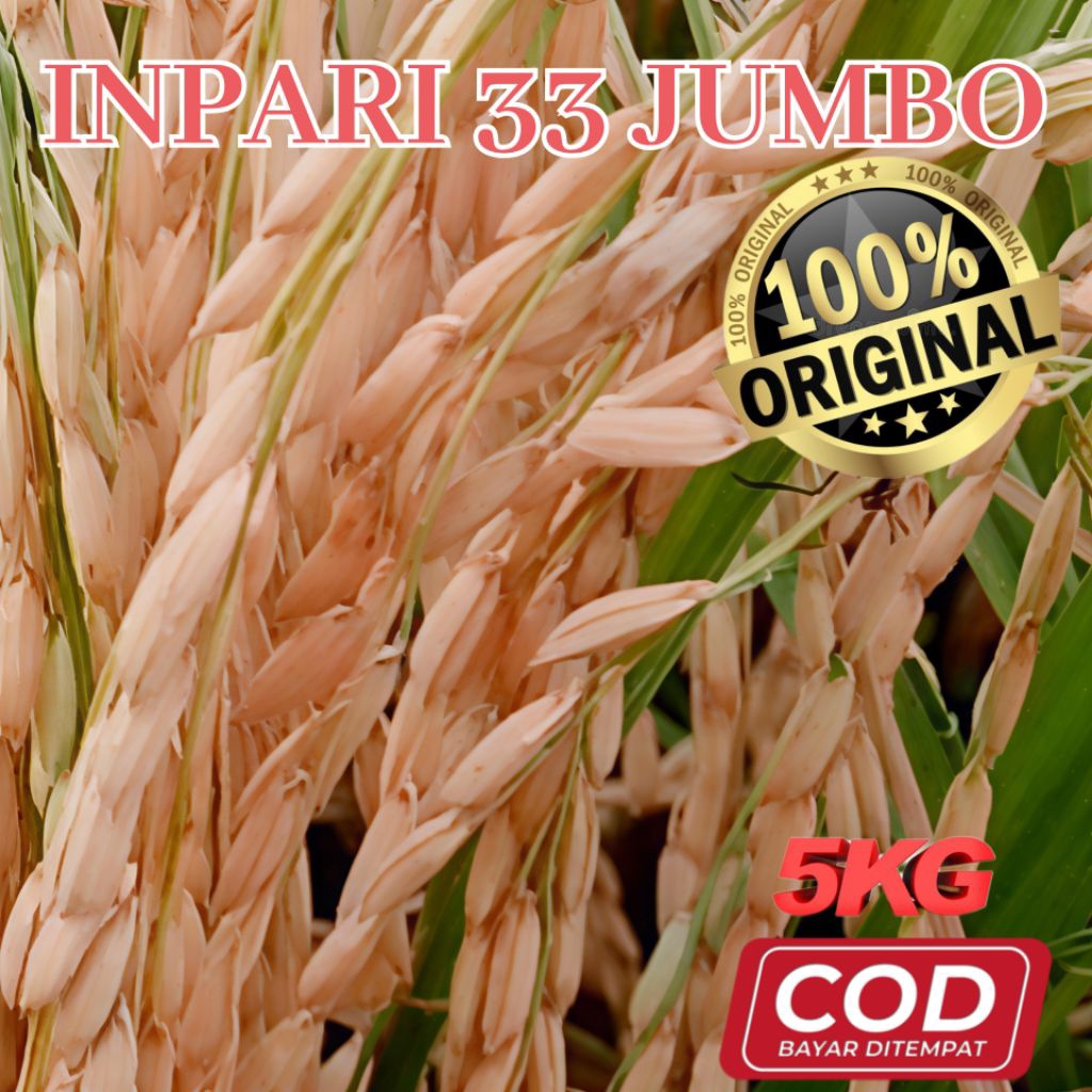 Benih Bibit Padi Inpari 33 Premium Super Unggul Kualitas Nasi Pulen Kemasan 5kg