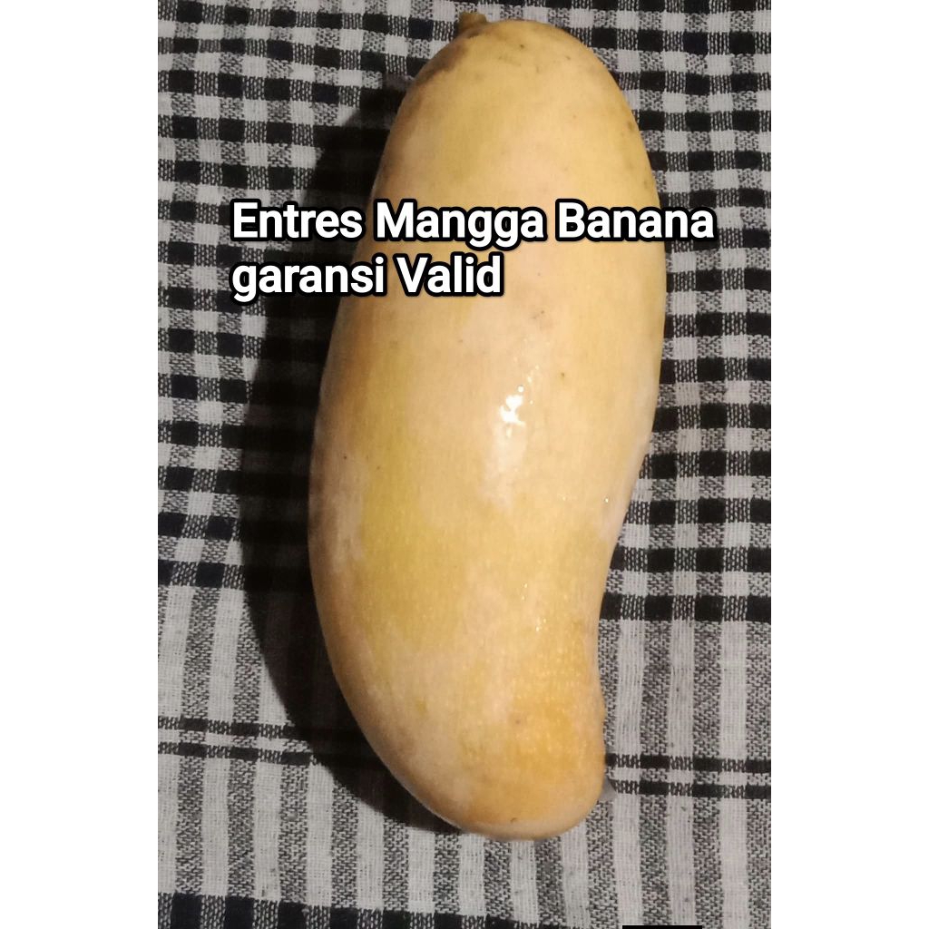 Entres Mangga Banana