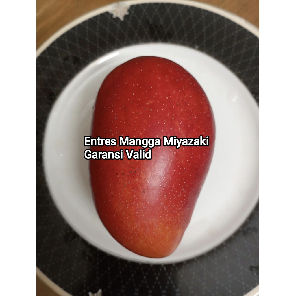 Entres Mangga Miyazaki Jepang asli