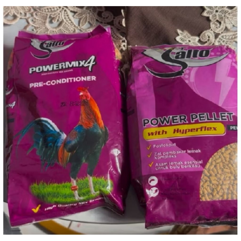 SALTO POWERMIX 4
