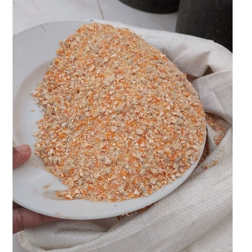 Jagung Giling 1 KG / jagung pecah pakan ayam