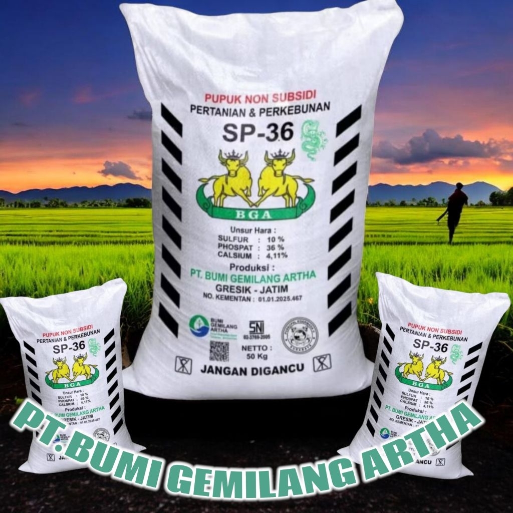PUPUK SP36 SUPER PHOSPATE 50kg
