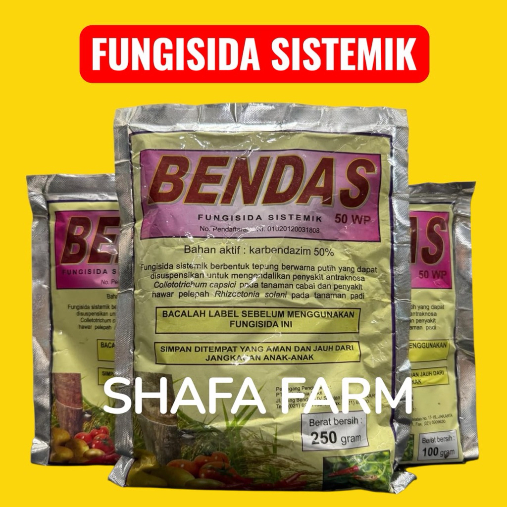 Bendas 50WP - Fungisida Sistemik Anti Pathek, Busuk Buah, Hawar Daun Dan Bercak Daun Untuk Cabai dan