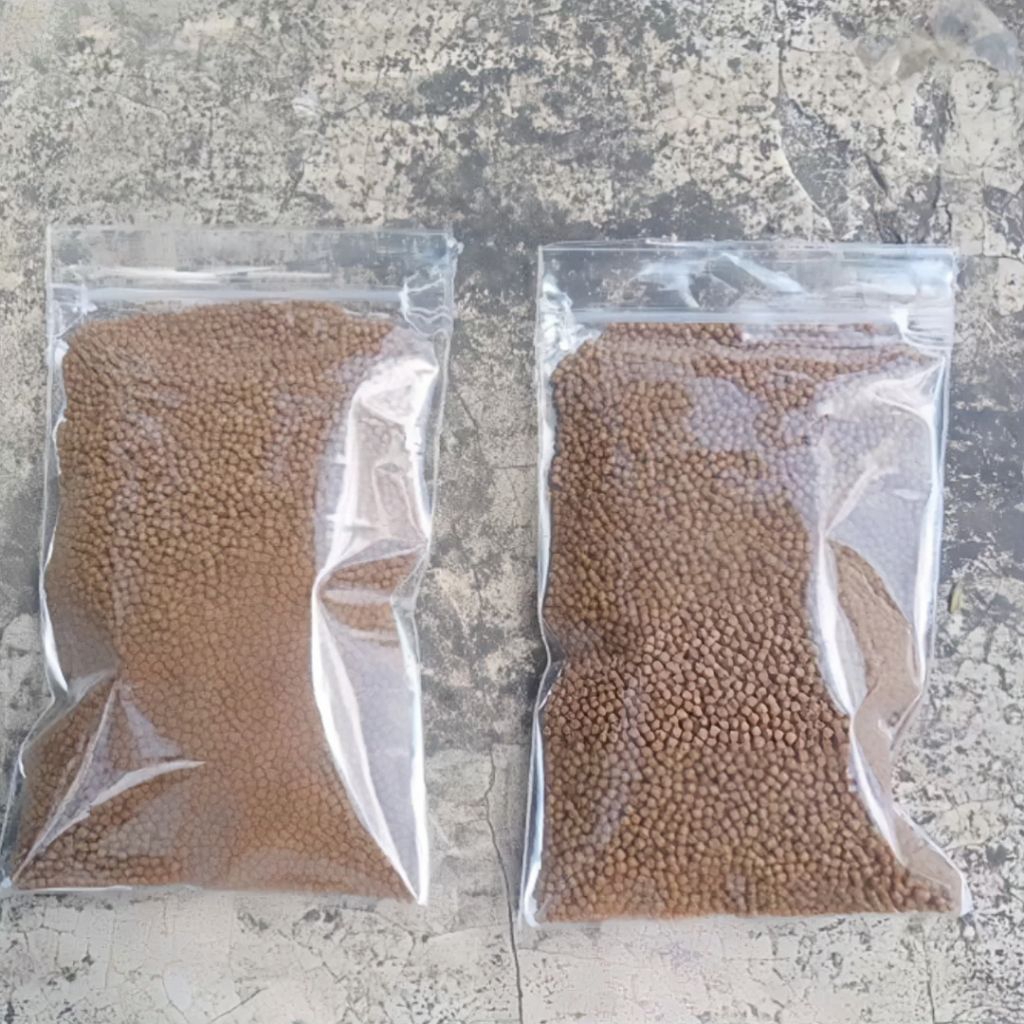 10 Gram Pakan Ikan Umur 7 Sampai 15 Hari Pelet Ikan Gabus Lele Chana Sidat Gurame