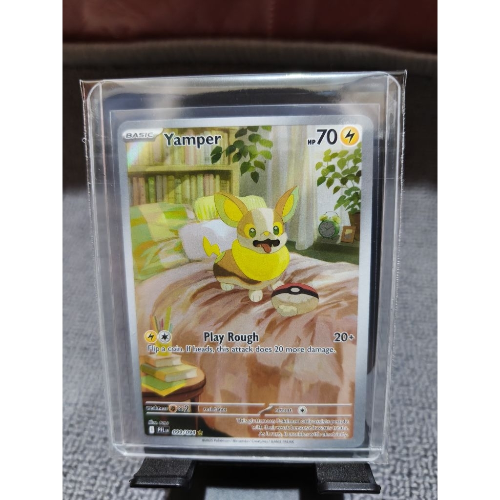Pokemon AR Yamper English
