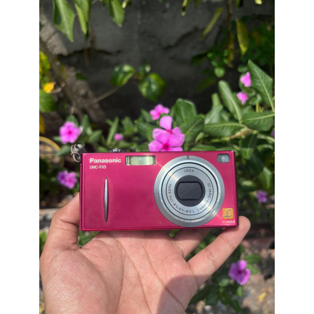 Lumix DMC-FX5