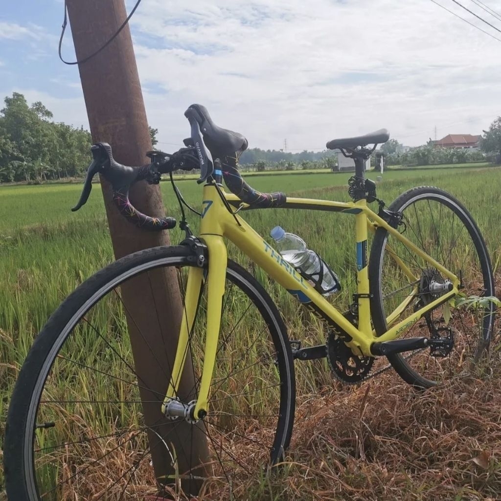 Roadbike Thrill Ardent Ver 4.0 Carbon Fork Alloy Frame Upgrade