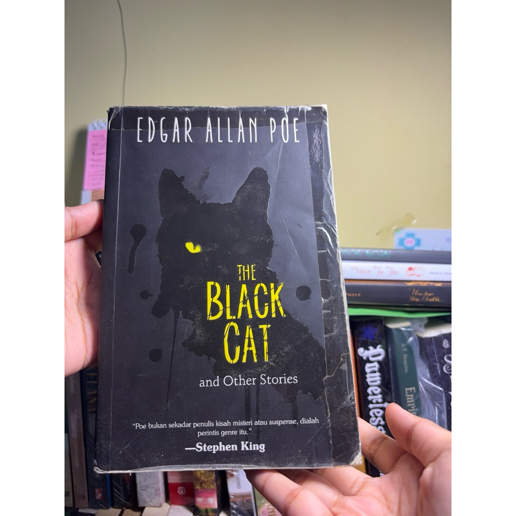 The Black Cat and Other Stories - Edgar Allan Poe