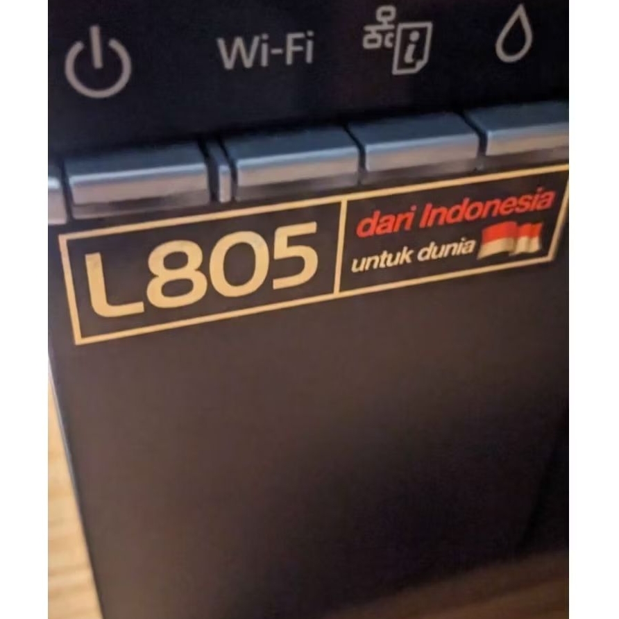 Printer Epson L805 Hasil Print Blank/Head Rusak Mesin Normal