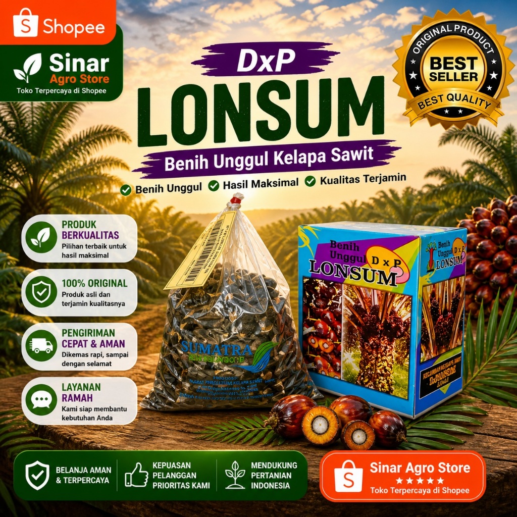 Bibit Kecambah Kelapa Sawit DxP LONSUM I Siap Tanam I isi 250 Butir