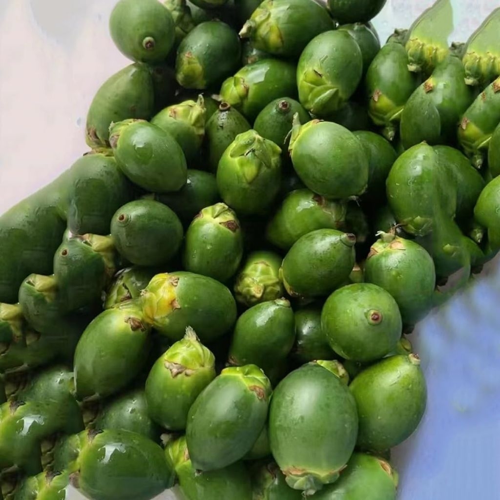 buah pinang buah Jambe muda 1kg